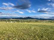 Explore Mongolia - GALLERY