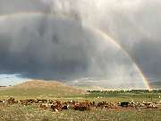 Explore Mongolia - GALLERY