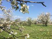 Explore the east - 5