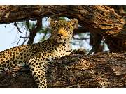 Explorer Reisebüro München - GALLERY