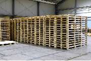 Export-Pack Thüringen GmbH & Co. KG - GALLERY
