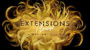 Extensions Please - GALLERY