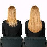 Extensions Please - GALLERY