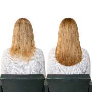 Extensions Please - GALLERY