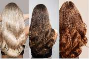 Extensions Please - GALLERY