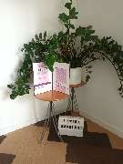 extra e. V. - GALLERY