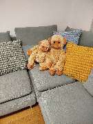 extra e. V. - GALLERY