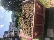 F & G Gebäudereinigung Gashi - 7