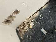 F & G Gebäudereinigung Gashi - 8