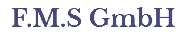 F.M.S GmbH - 1