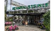 Fa. Blumen Steinle GmbH - GALLERY