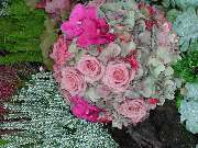 Fa. Blumen Steinle GmbH - GALLERY