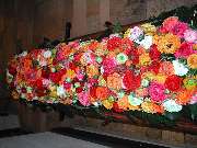 Fa. Blumen Steinle GmbH - GALLERY