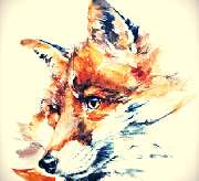 Fa.City-Trapper - 1