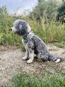 Fabelglanz - GALLERY