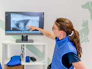 Fachzentrum für Kleintiermedizin Langenhagen, Tierarzt Dr. Bogenhagen & Stegen, DECVS - GALLERY