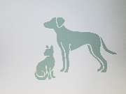 Fachzentrum für Kleintiermedizin Langenhagen, Tierarzt Dr. Bogenhagen & Stegen, DECVS - GALLERY