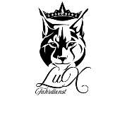 Fahrdienst LuX TGB UG (haftungsbeschränkt) - GALLERY