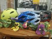 Fahrradcenter Berger - GALLERY