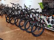 Fahrradhandel an der Löwenbrücke - GALLERY