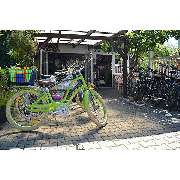 Fahrradlädle Kiefer Inh. Michael Kiefer - GALLERY
