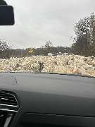 Fahrschule Jens Kollatz - GALLERY