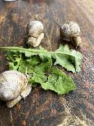 Fahrschule Jens Kollatz - GALLERY