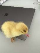 Fahrschule Jens Kollatz - GALLERY