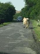 Fahrschule Jens Kollatz - GALLERY