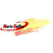 Fahrschule Mario Gallus - LOGO