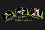 Fahrschule Ponier - GALLERY