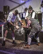 Fair Play Waldesruh - GALLERY