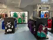 Falckenthal - GALLERY