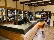 Falckenthal - GALLERY