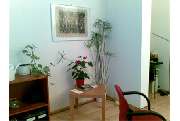 Familientherapie Beratung und Supervision Treiber-Dengler - GALLERY