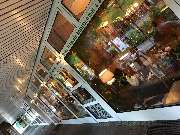 Fantasia bei Alberto - GALLERY