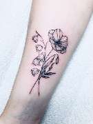 Farbe für die Seele - Tattoo & Piercing Atelier - Hannover - Fineline