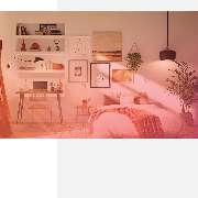 Farbtraum- Eleganz in Farbe - GALLERY