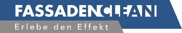 Fassadenclean Laubinger - 1