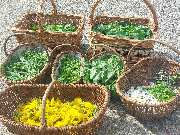 Fasten & Balance - Larissa Hoffmann - GALLERY