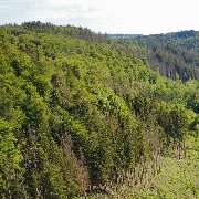 Fasten & Balance - Larissa Hoffmann - GALLERY