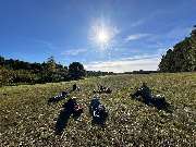 Fastenwanderzeit - GALLERY