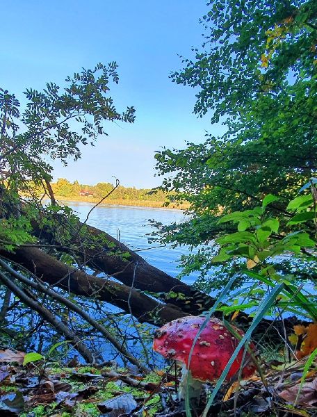 Fastenwanderzeit - GALLERY