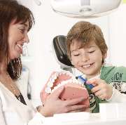 Faulhaber Susanne Dr. med. dent. - GALLERY