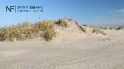 Feddermann Immobilien - GALLERY
