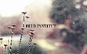 Logo - FELD INSTITUT