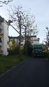 Felger Umzüge & Transporte | Einlagerung | Transporter Vermietung | Ludwigsburg - 7