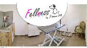 Fellness Professionelle Hundepflege - GALLERY