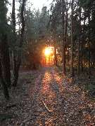 Fellschnack - 10