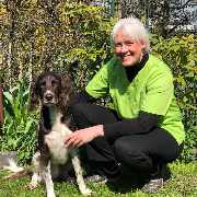 felmo Mobiler Tierarzt Stuttgart - felmo mobiler Tierarzt Stuttgart